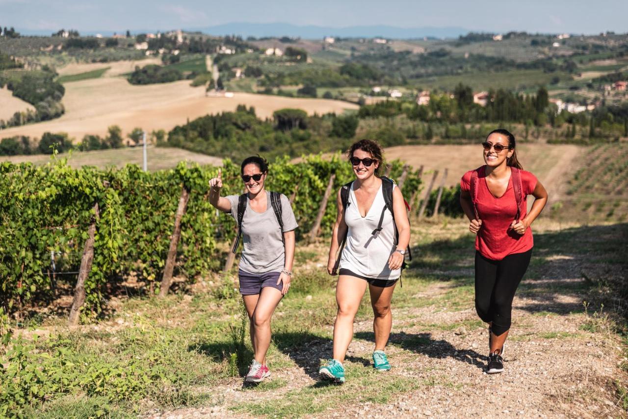 Borgo Divino Alloggio per agriturismo