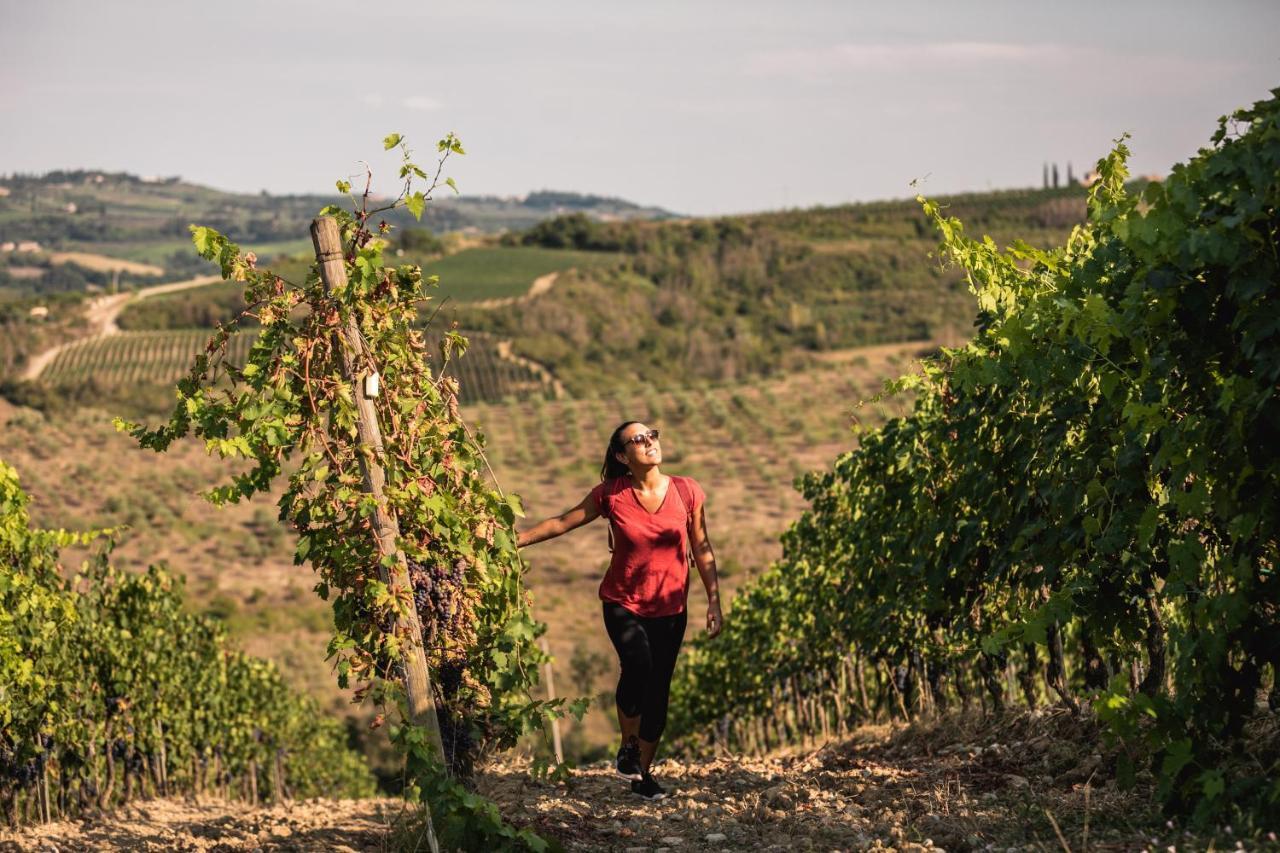 Alloggio per agriturismo Borgo Divino *